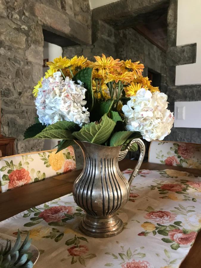 Charming Green Country House Nordestinho المظهر الخارجي الصورة