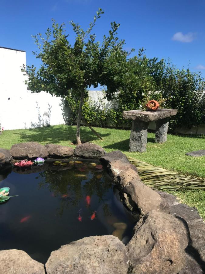 Charming Green Country House Nordestinho المظهر الخارجي الصورة